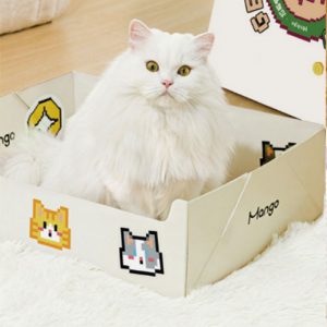 Disposable Cat Litter Box
